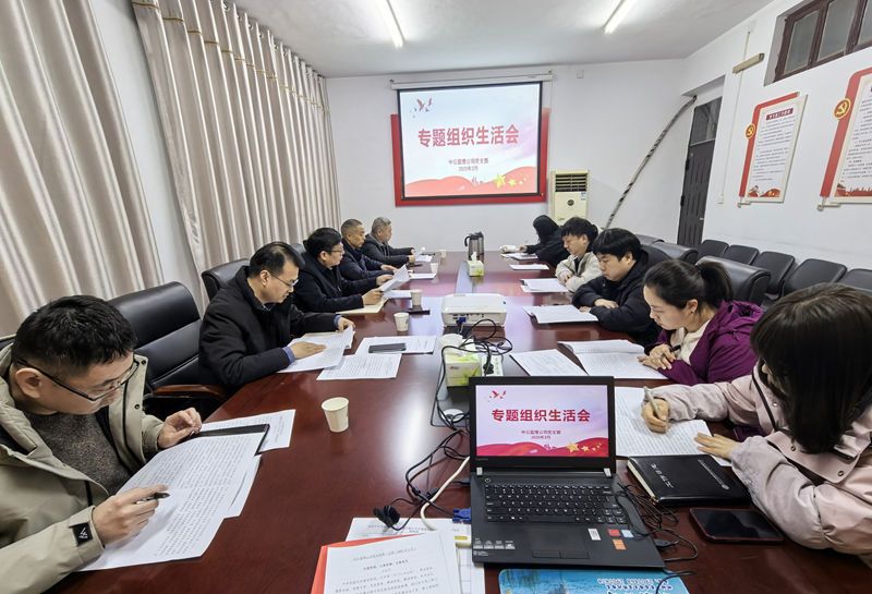 中共中公交通監(jiān)理咨詢河南有限公司支部委員會 2024年專題組織生活會