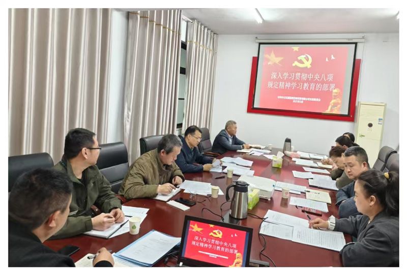 中共中公交通監(jiān)理咨詢河南有限公司支部委員會 深入貫徹中央八項(xiàng)規(guī)定學(xué)習(xí)教育的部署
